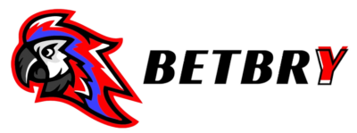 Mines Betbry logo black